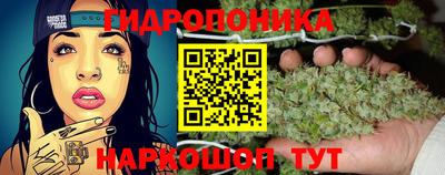 дмт Севастополь