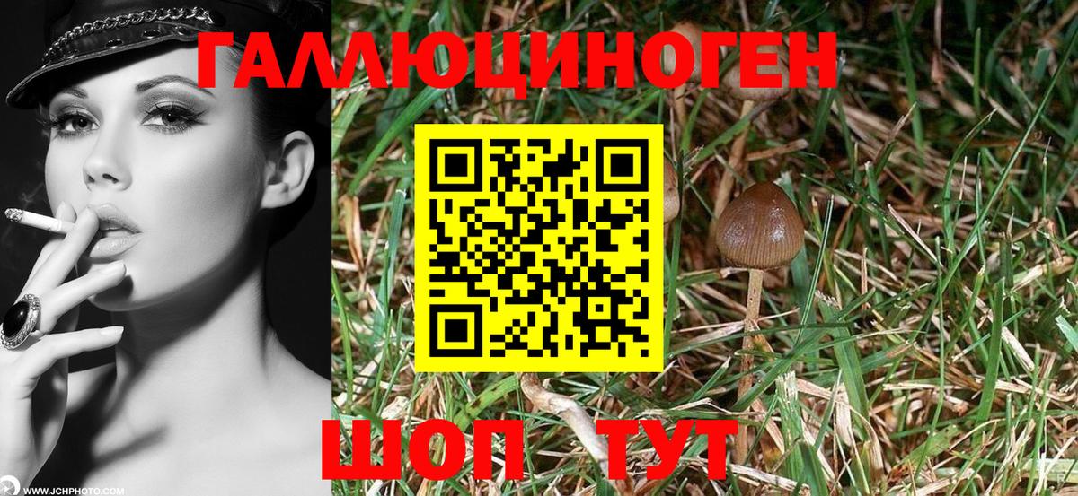Галлюциногенные грибы Psilocybe  Галлюциногенные грибы Psilocybine cubensis  Омск  где найти наркотики  Вход с VPN 