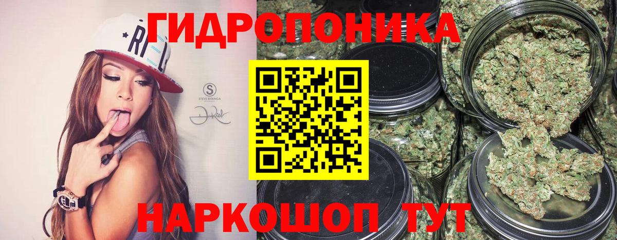 Марихуана Amnesia Омск
